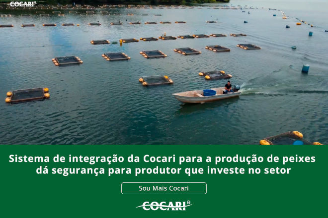 cocari II 01 04 2026