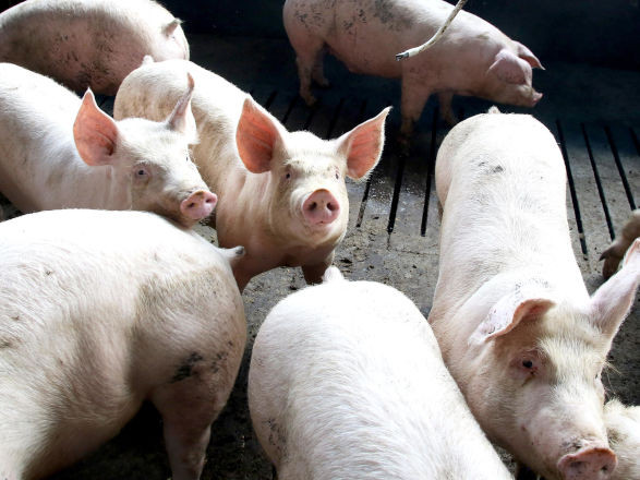 conjuntura agro 10 04 2026