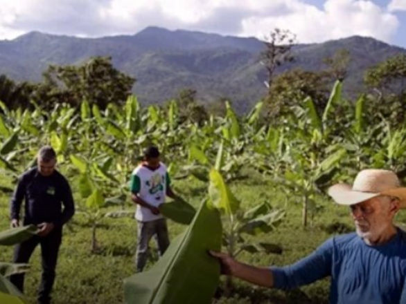 sistema ocb 27 04 2026