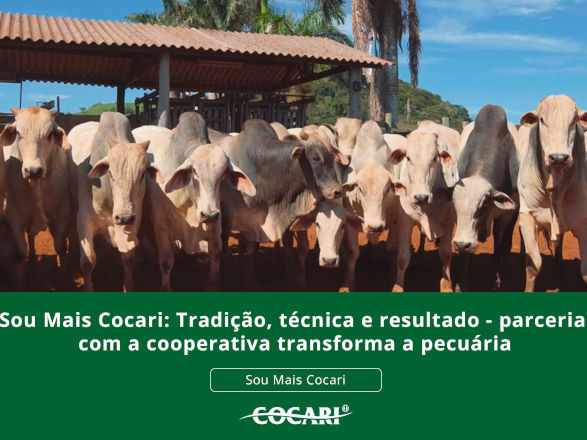 cocari 07 05 2026