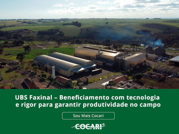 cocari 15 05 2026