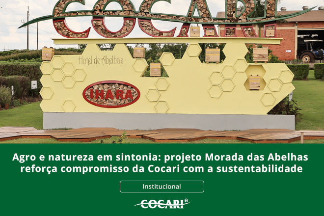 cocari I 20 05 2026