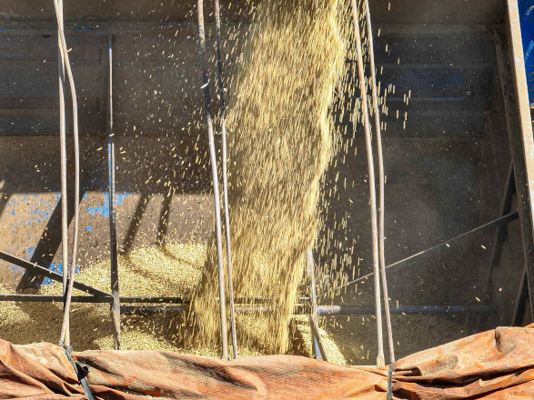 conjuntura agro 22 05 2026