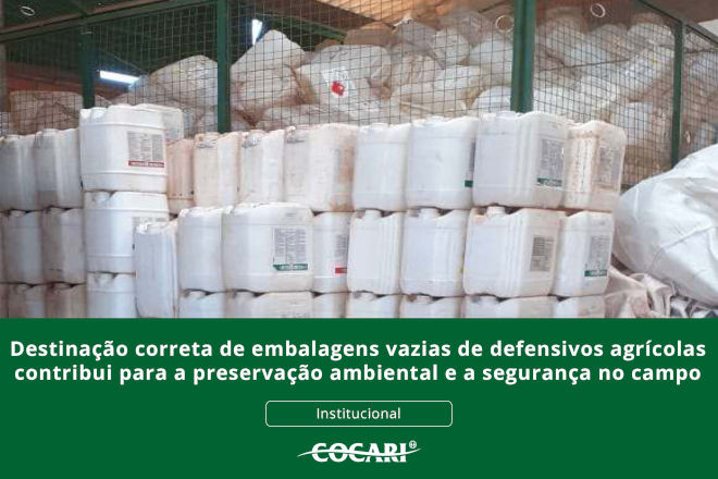 cocari 01 06 2026