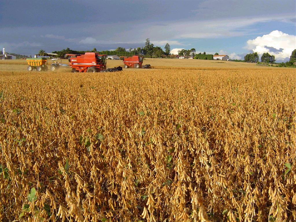 GRÃOS: USDA mantém projeções para estoques globais  